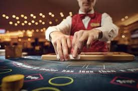 nice togel App nice togel App